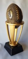 Fantasy Football League Trophy Riser Award